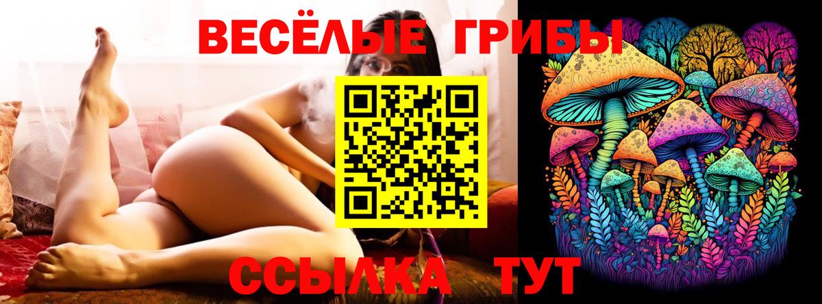 Галлюциногенные грибы мицелий  Вход с VPN  Сорочинск 